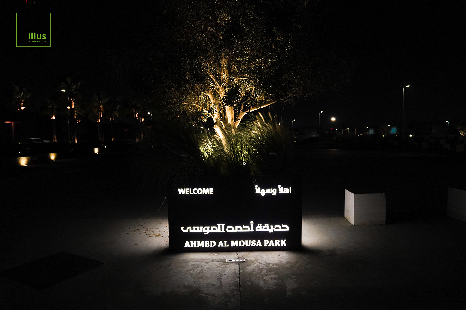 Night-view-of-Ahmad-Al-Moussa-Park-with-illus-lighting-products